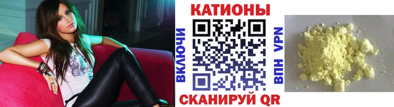 МЯУ-МЯУ мяу мяу  блэк спрут зеркало  Дмитриев 