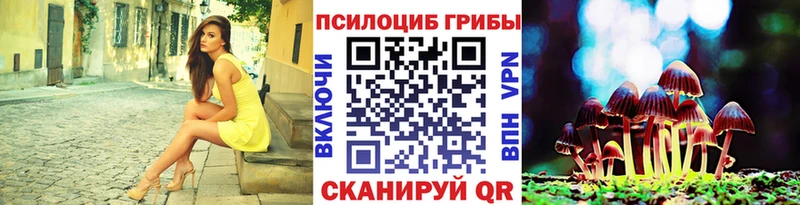 Галлюциногенные грибы мицелий  наркота  Дмитриев 